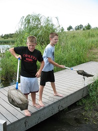 pond dip
