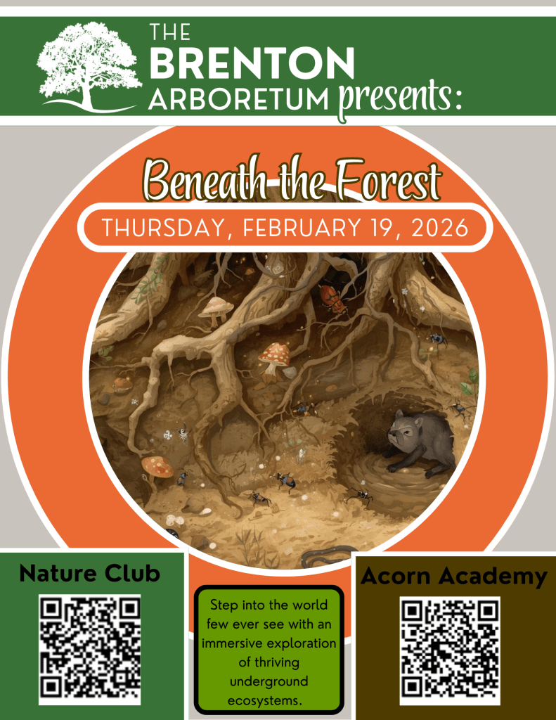 Event poster for 'Beneath the Forest' presented by the Brenton Arboretum, featuring an illustration of an underground ecosystem with animals and plants. Scheduled for February 19, 2026. Includes information about the Nature Club and Acorn Academy with QR codes.