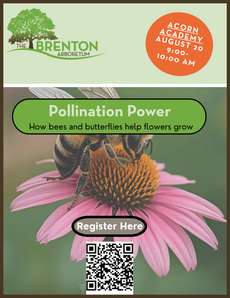 Promotional poster for Acorn Academy event titled 'Pollination Power', featuring a bee on a pink echinacea flower, with details of the event date and time, and a QR code for registration.