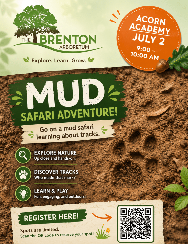 Promotional poster for the Brenton Arboretum's Mud Safari Adventure event on July 2, featuring activities like exploring nature, discovering animal tracks, and learning through play, along with a QR code for registration.