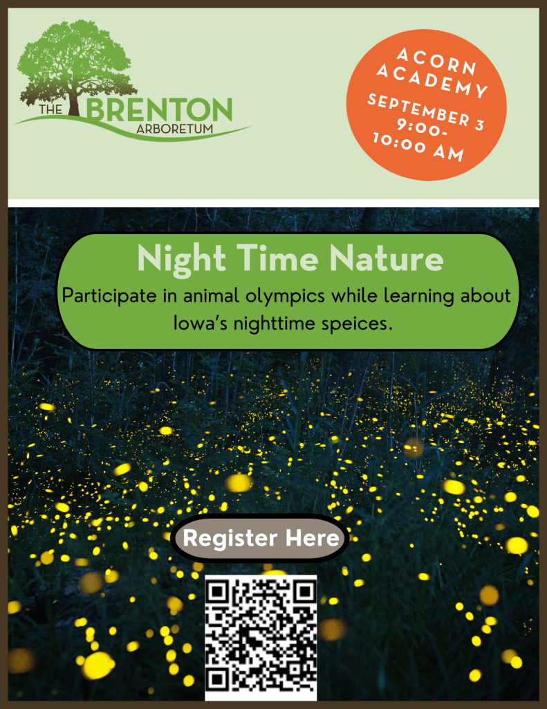 Promotional image for the Acorn Academy event at the Brenton Arboretum featuring glowing fireflies in a dark setting with event details.