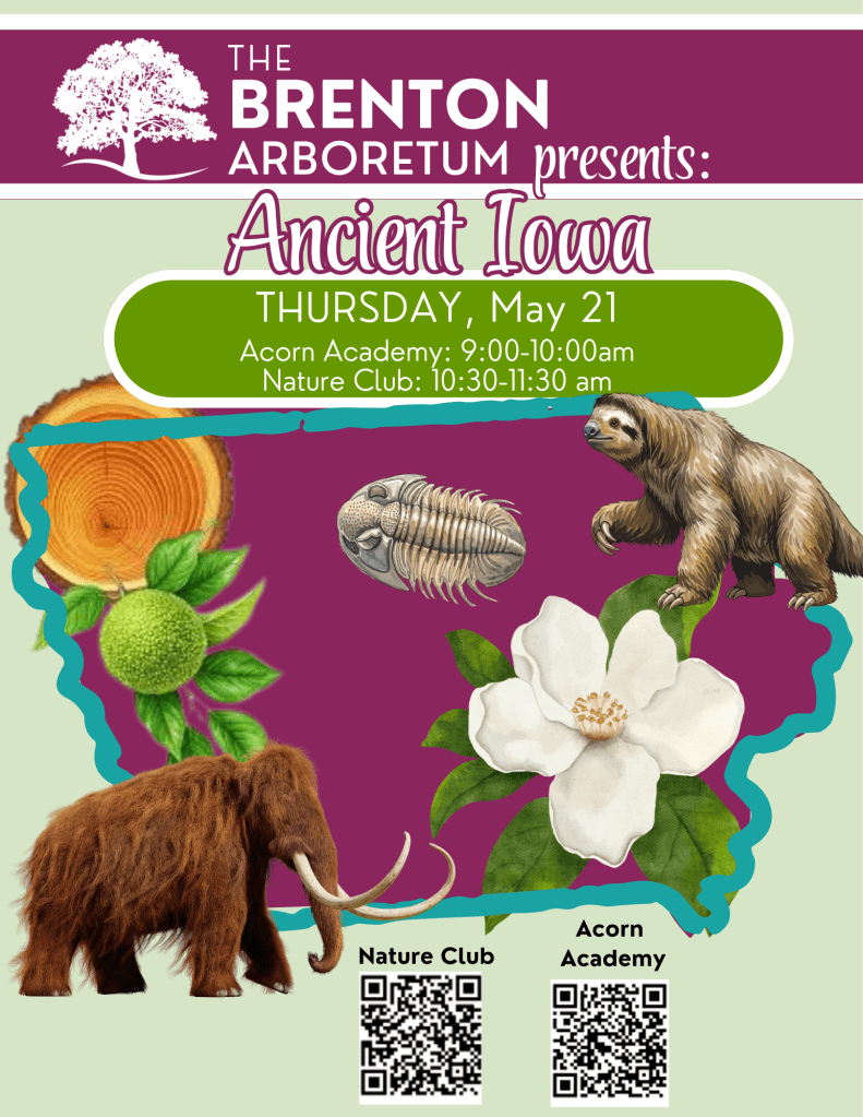 A promotional poster for an event titled 'Ancient Iowa' at the Brenton Arboretum, featuring illustrations of prehistoric animals like a mammoth and a giant sloth, alongside plants and a map outline of Iowa. It includes event details: Acorn Academy from 9:00-10:00 am and Nature Club from 10:30-11:30 am, with QR codes for more information.