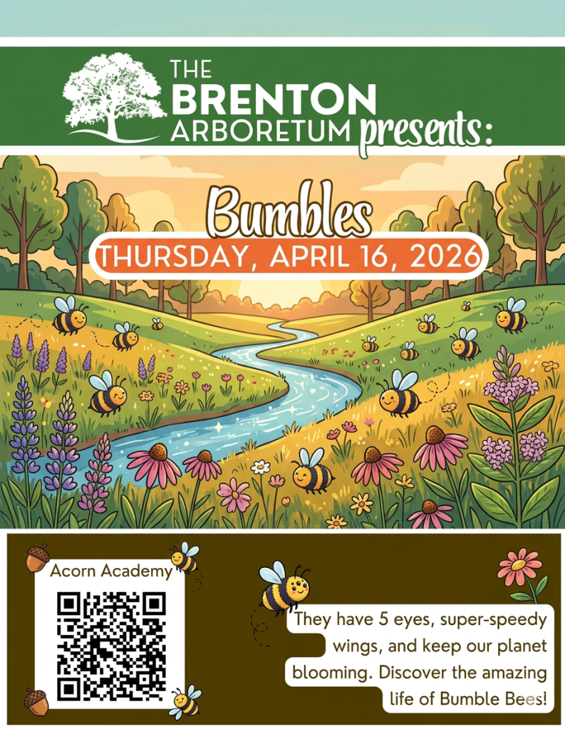 A colorful illustration promoting an event titled 'Bumbles' at The Brenton Arboretum, featuring a scenic landscape with bees, flowers, and a flowing river. It includes event details and a QR code for Acorn Academy.
