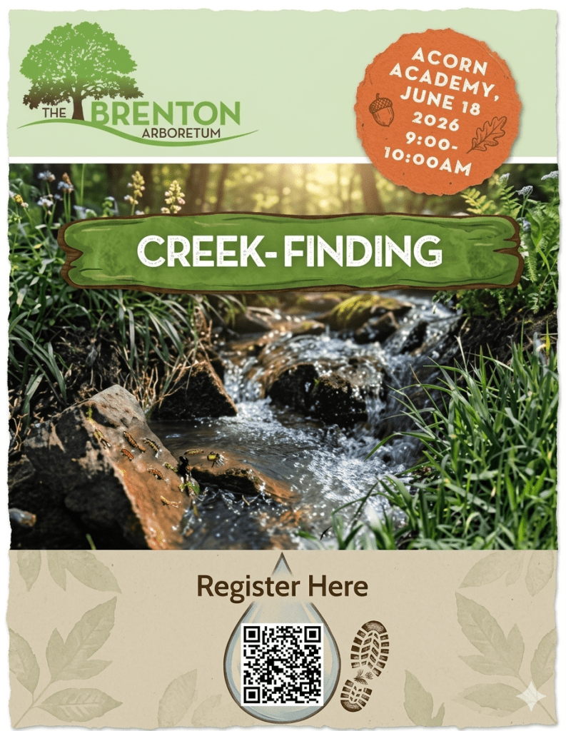Promotional flyer for the Brenton Arboretum's 'Creek-Finding' event on June 18, 2026, featuring a flowing creek surrounded by greenery. Includes event details, a QR code for registration, and a textured background with leaf patterns.