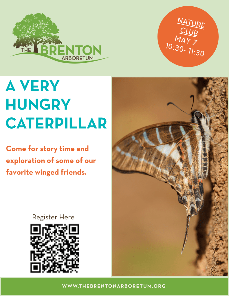 Promotional flyer for a Nature Club event at the Brenton Arboretum featuring a caterpillar and butterfly theme, including event details and a QR code for registration.