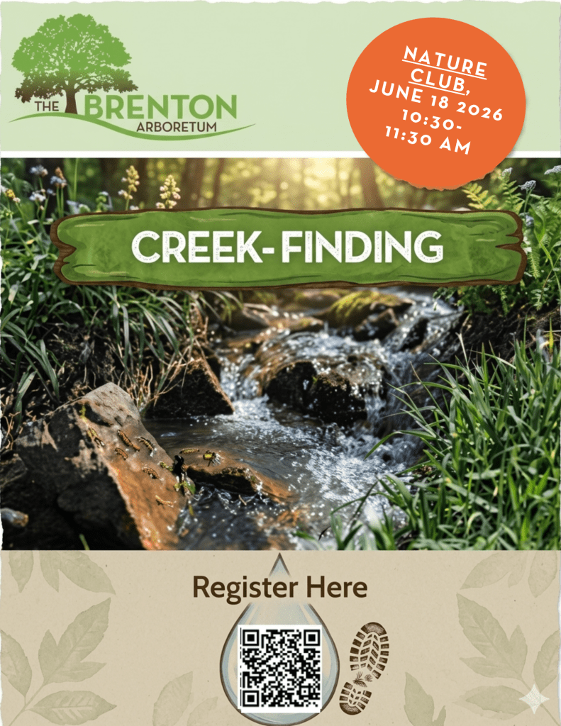 Promotional image for a nature event titled 'Creek-Finding' at the Brenton Arboretum, featuring a creek with water flowing over rocks and surrounded by greenery. The event is scheduled for June 18, 2026, from 10:30 to 11:30 AM, with a QR code for registration.