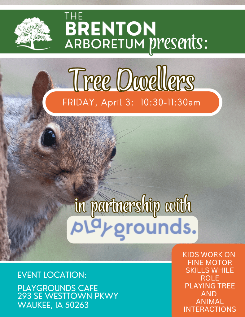 Event flyer for 'Tree Dwellers' at the Brenton Arboretum, featuring a close-up of a squirrel. The event is on Friday, April 3, from 10:30 to 11:30 am, in partnership with Playgrounds Cafe. It focuses on kids developing fine motor skills through role-playing tree and animal interactions.