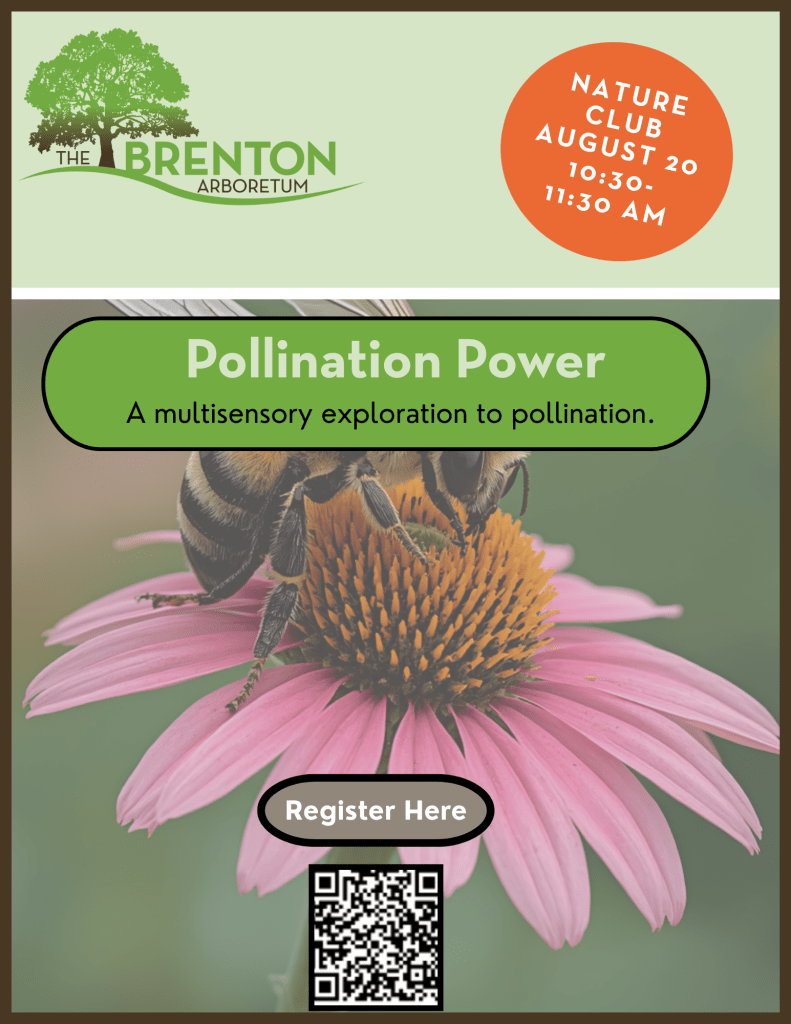 Promotional poster for the Brenton Arboretum's Nature Club event titled 'Pollination Power', featuring a close-up of a bee on a pink flower, along with event details and a QR code for registration.
