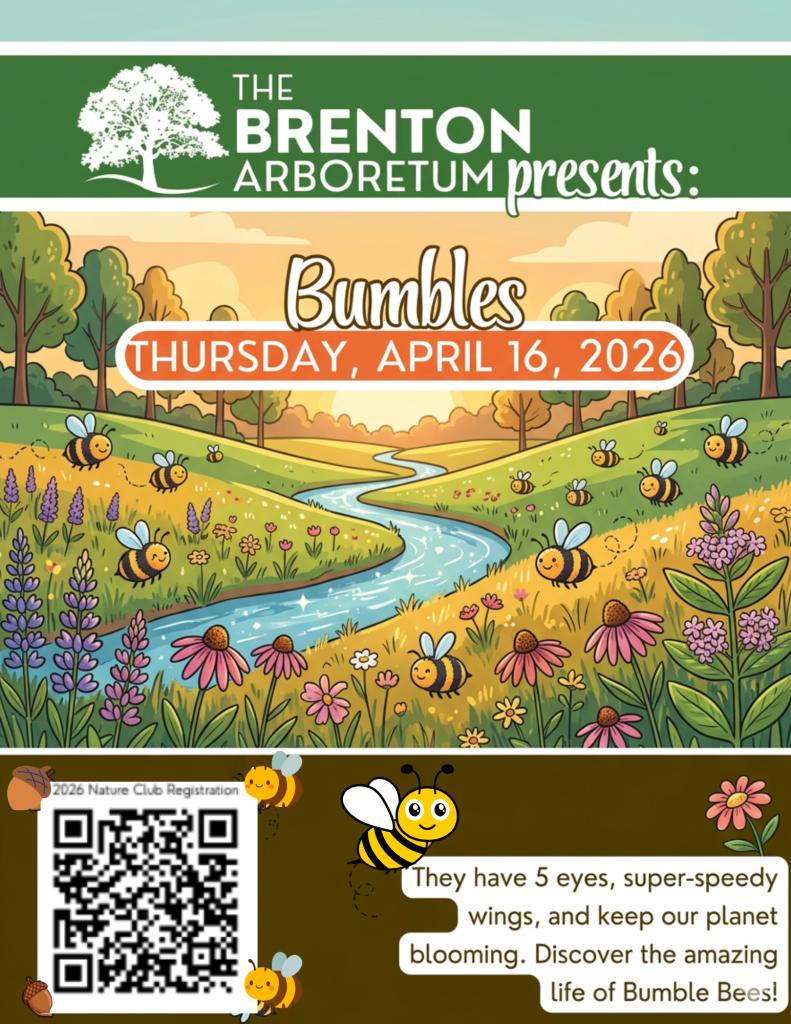 Illustration promoting an event at the Brenton Arboretum titled 'Bumbles' on April 16, 2026, featuring a scenic landscape with a winding river, colorful flowers, and cartoon bumblebees. Additional text highlights facts about bumble bees.