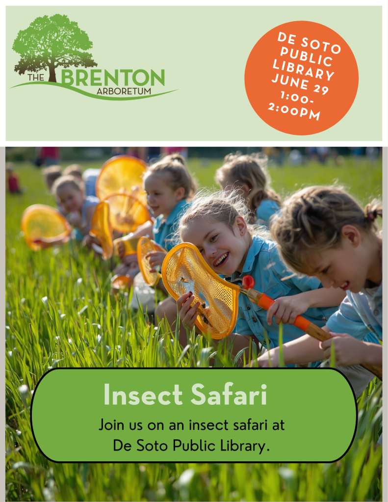 A group of children participating in an insect safari, holding nets and smiling while exploring a grassy field. The event is hosted by the Brenton Arboretum at De Soto Public Library on June 29.